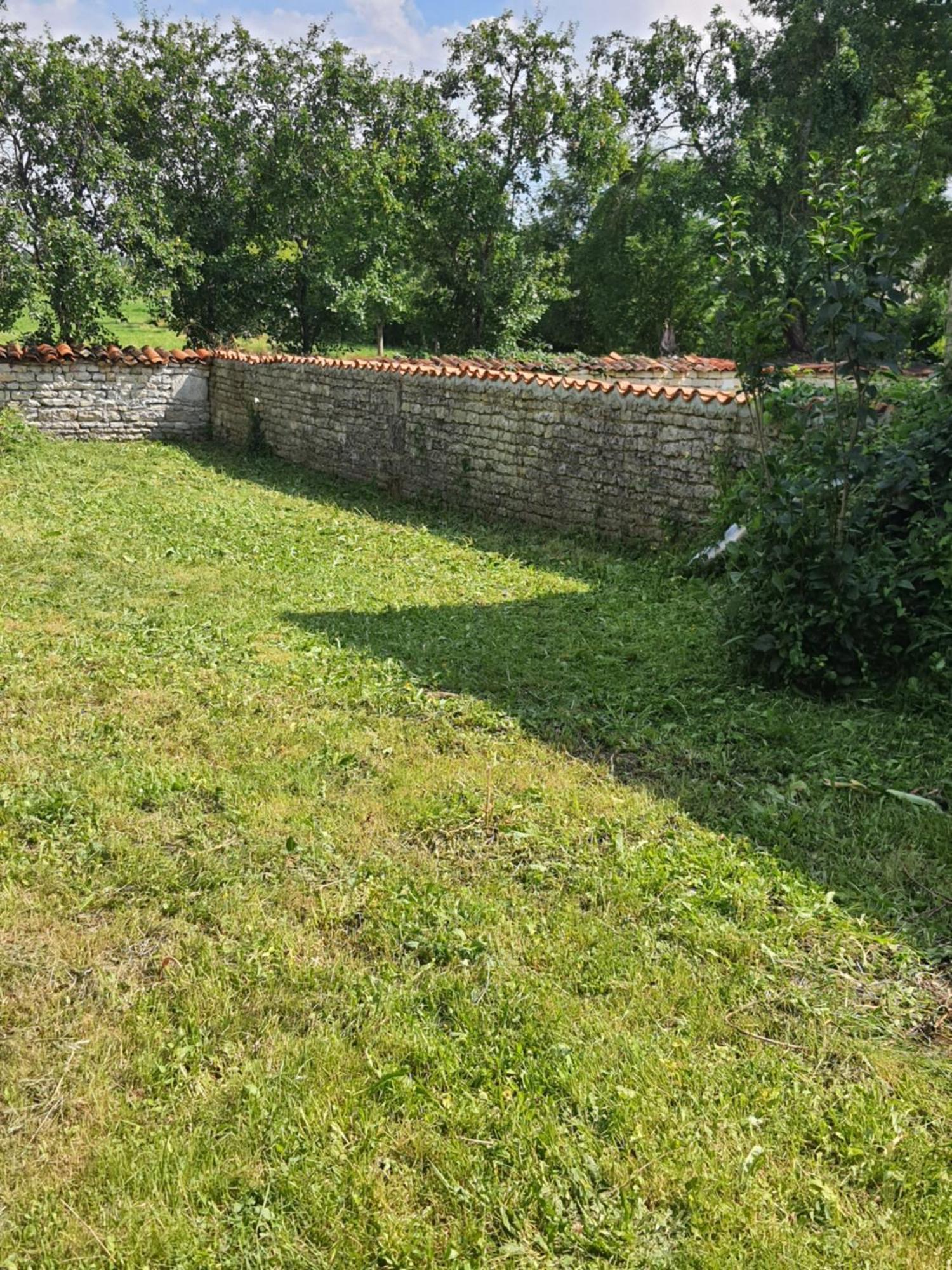 Barbezieres Domi Et Les Chats מראה חיצוני תמונה